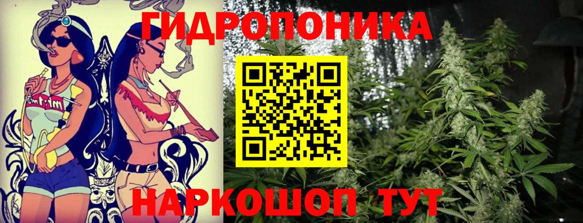 Марихуана Amnesia  Вход с VPN  Канабис тримм  Марихуана Amnesia  Аргун 